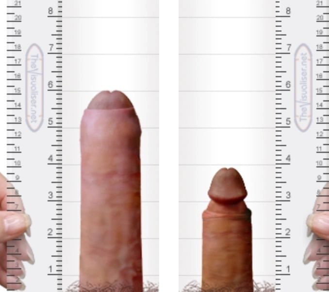 Explicit penis comparison picture with two measuring rulers