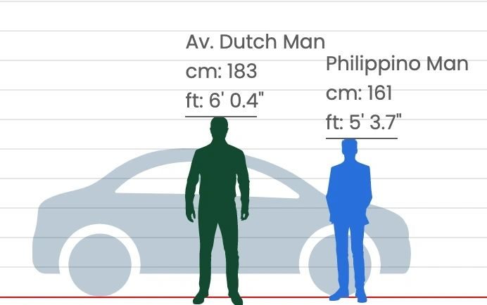Average Male Height