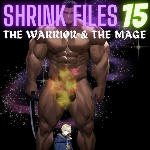 Shrink Files Issue 15: The Warrior and the Mage cover
